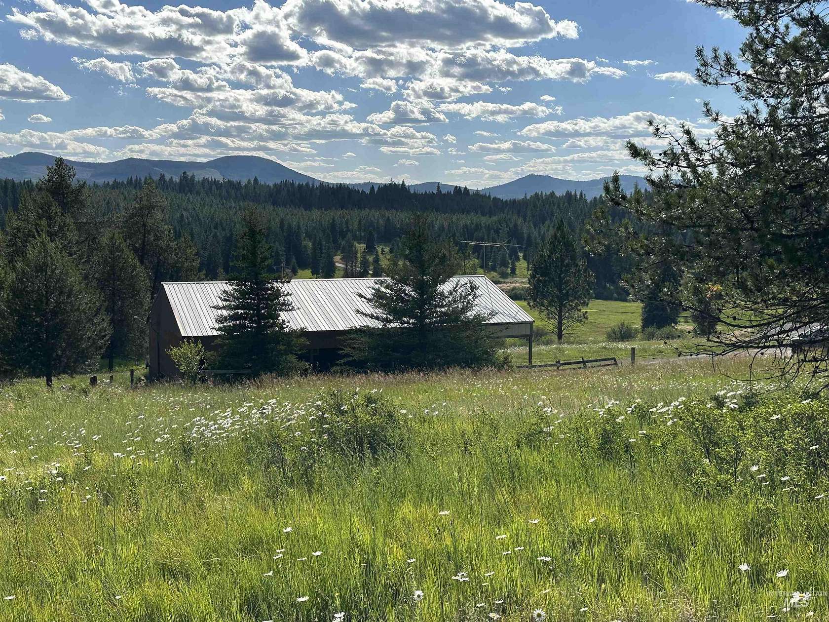 4.02 Acres of Land for Sale in Emida, Idaho