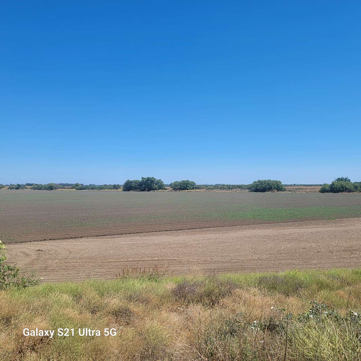 239.3 Acres of Land for Sale in Stockton, California
