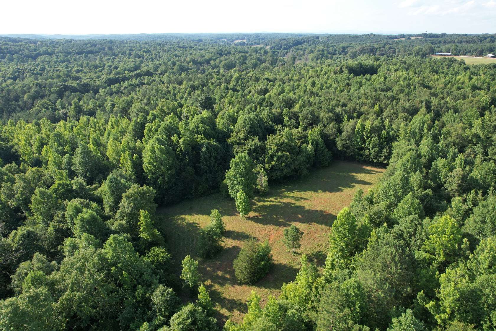 26 Acres of Recreational Land for Sale in Martin, Georgia
