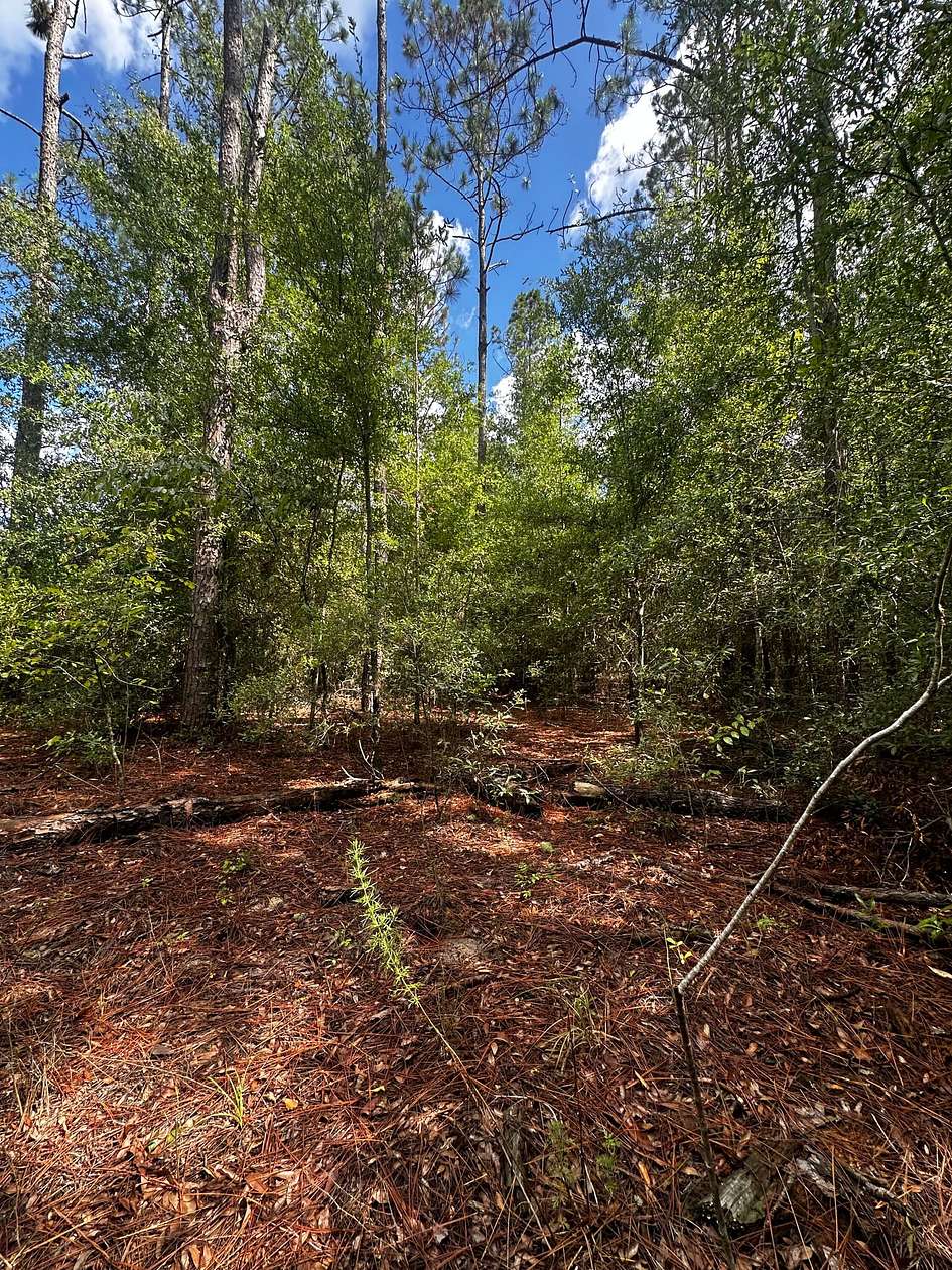 3.01 Acres of Land for Sale in Lee, Florida