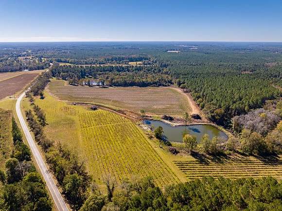 104.7 Acres of Land for Sale in Wray, Georgia