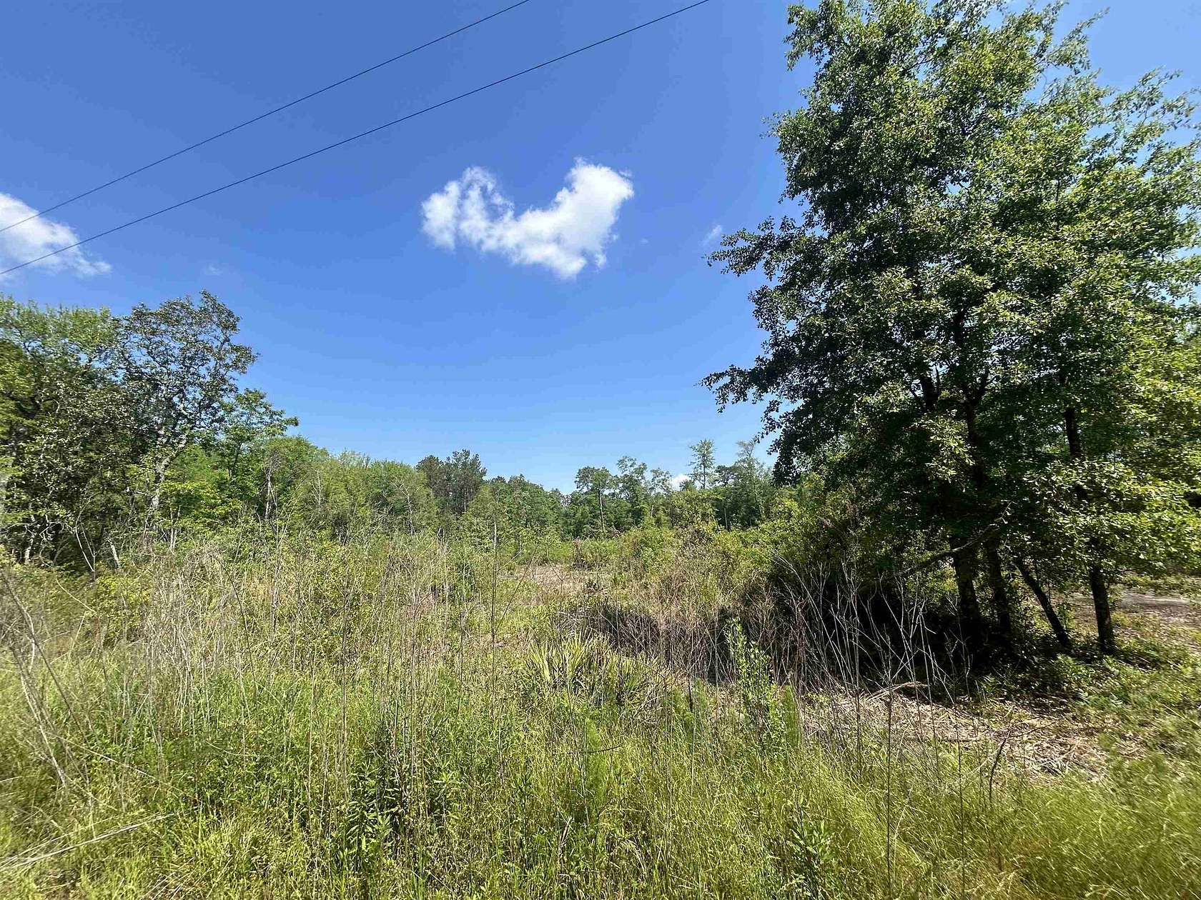 5.51 Acres of Residential Land for Sale in Havana, Florida