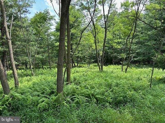 20.11 Acres of Land for Sale in Romney, West Virginia