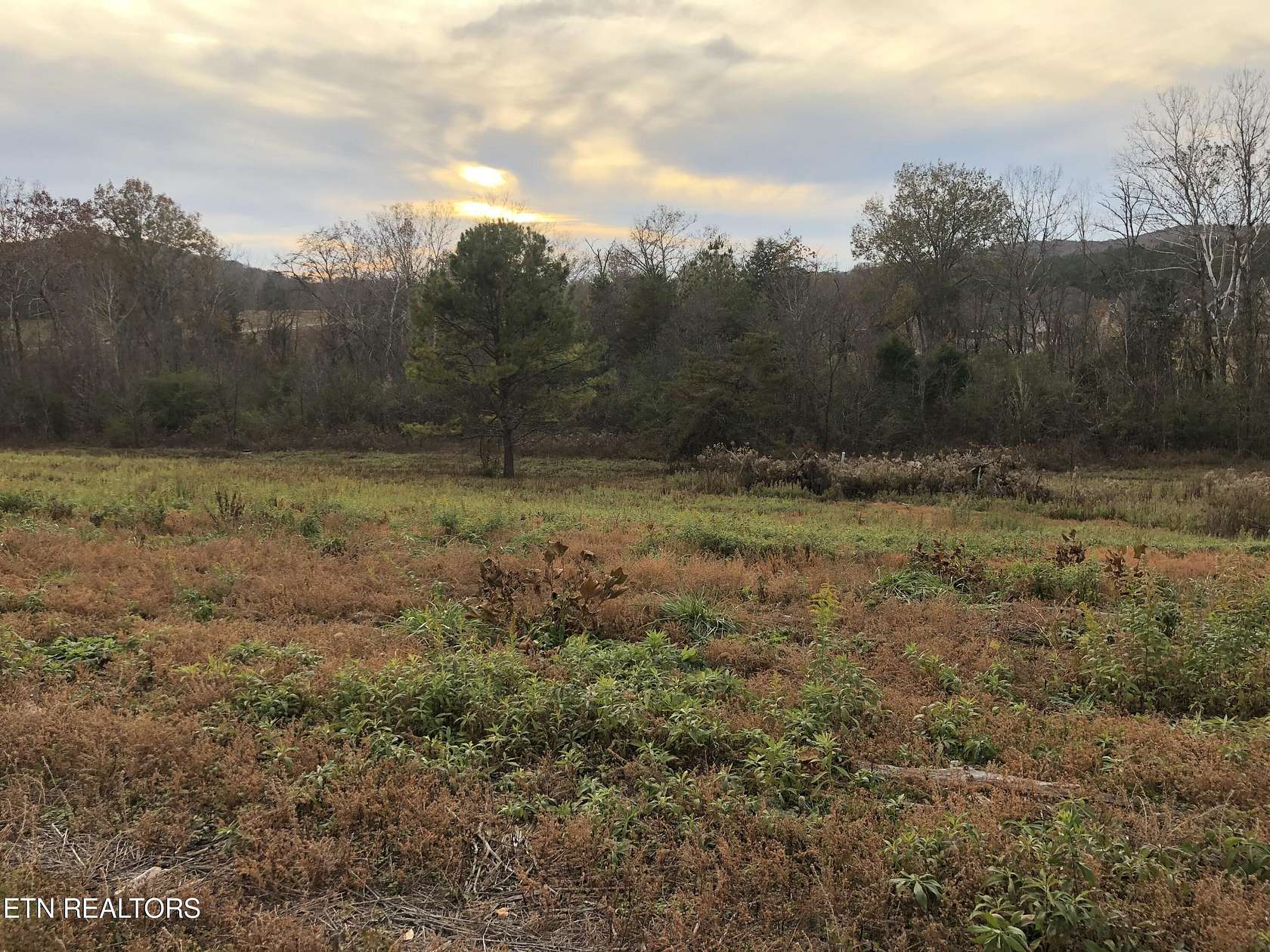 0.27 Acres of Residential Land for Sale in Oak Ridge, Tennessee