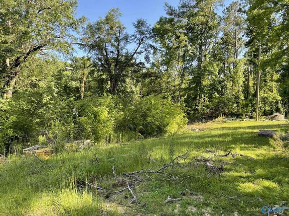 2 Acres of Residential Land for Sale in Birmingham, Alabama