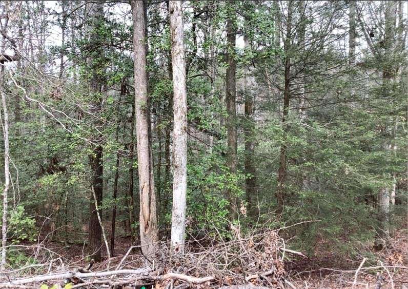 2.12 Acres of Residential Land for Sale in Ellijay, Georgia