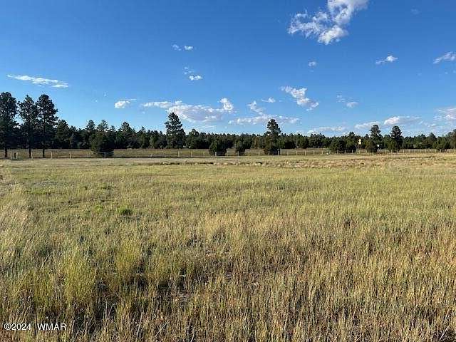 1.76 Acres of Commercial Land for Sale in Overgaard, Arizona