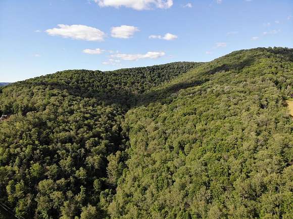 144 Acres of Recreational Land for Sale in Austin, Pennsylvania
