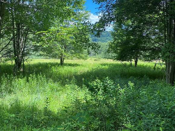 71.95 Acres of Recreational Land for Sale in Genesee, Pennsylvania