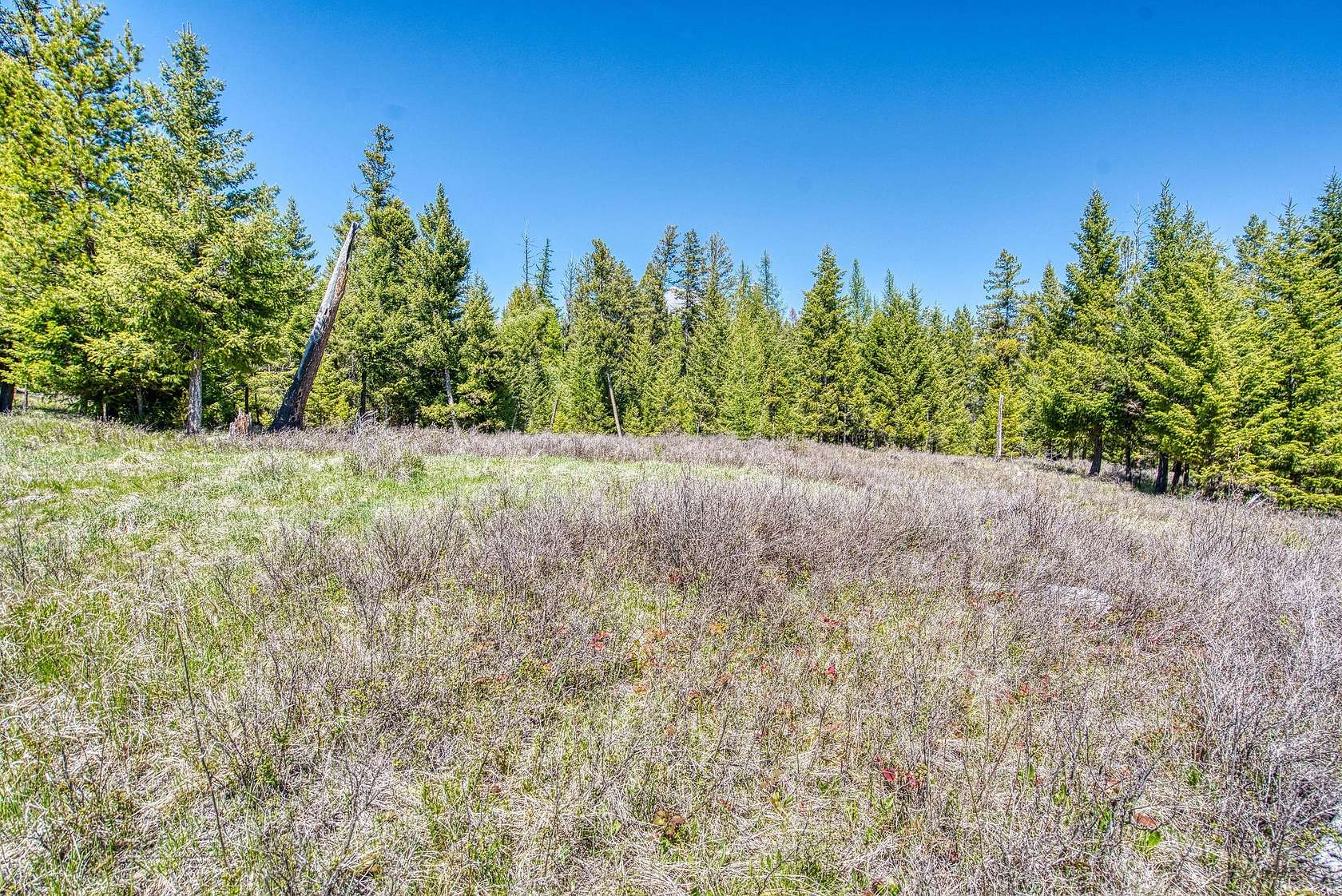 5.22 Acres of Residential Land for Sale in Kila, Montana