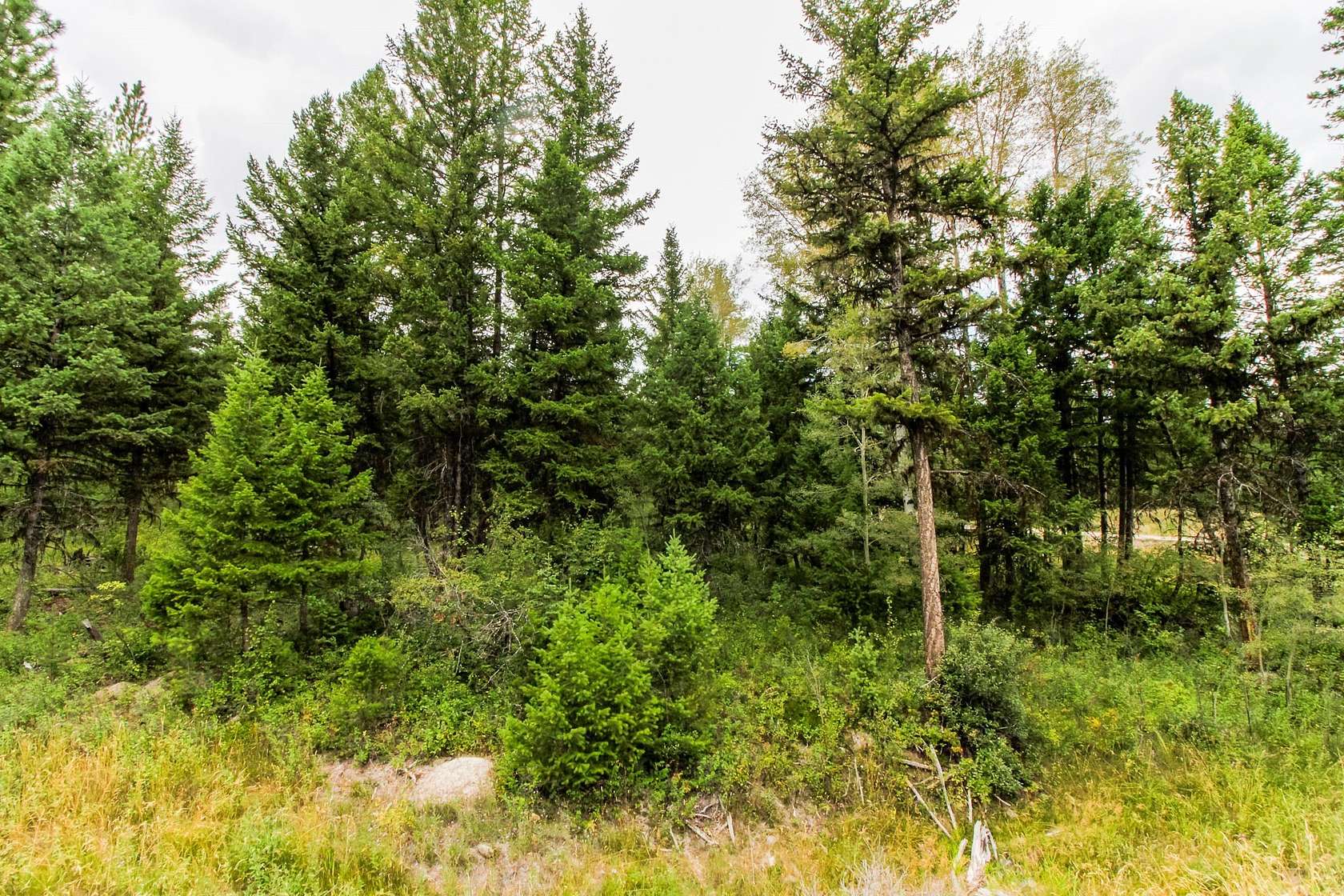 9.39 Acres of Residential Land for Sale in Kila, Montana