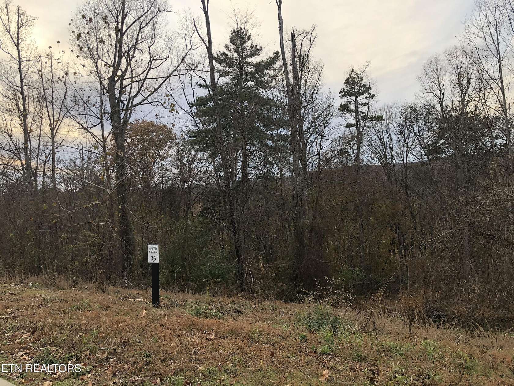 0.29 Acres of Residential Land for Sale in Oak Ridge, Tennessee