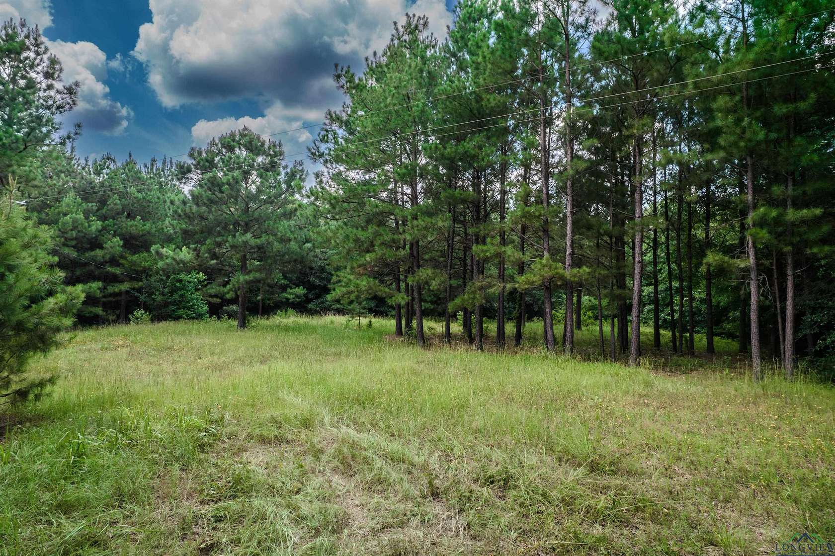 24.72 Acres of Land for Sale in Linden, Texas
