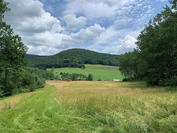 102 Acres of Recreational Land for Sale in Port Allegany, Pennsylvania