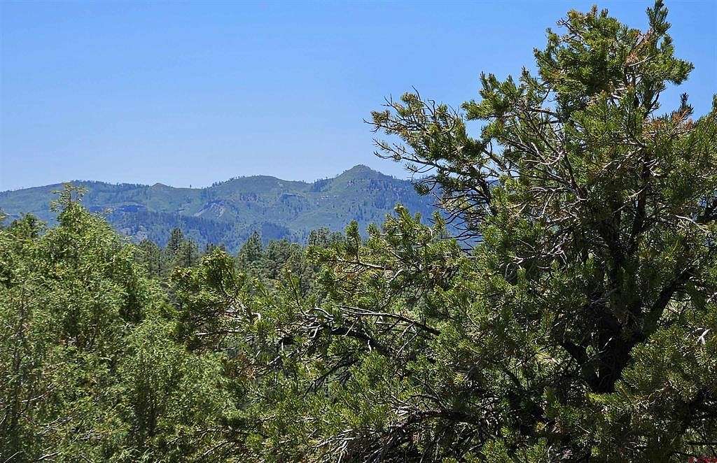 2.51 Acres of Residential Land for Sale in Pagosa Springs, Colorado