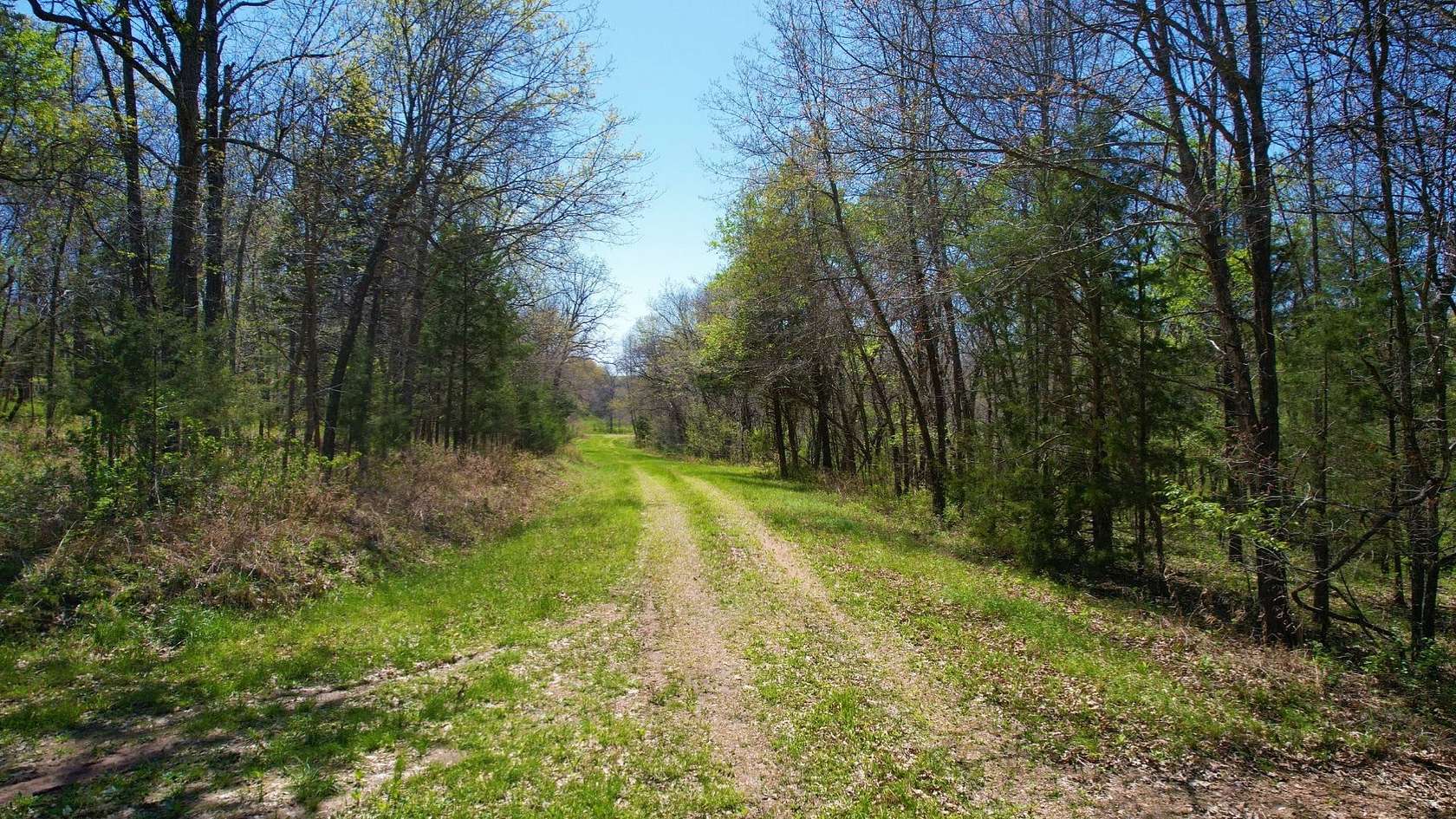 3.77 Acres of Residential Land for Sale in Edwards, Missouri