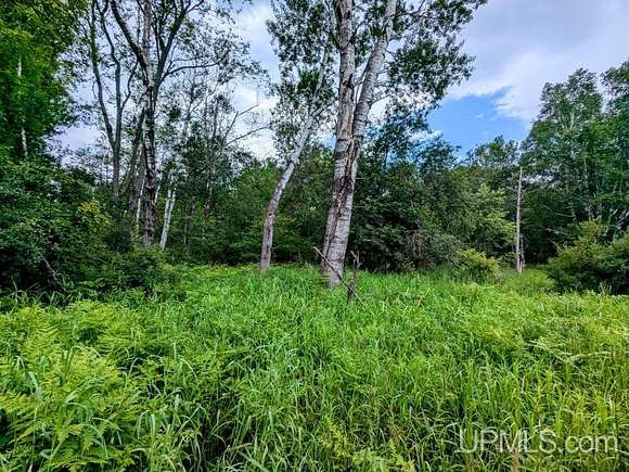 8.42 Acres of Residential Land for Sale in Crystal Falls, Michigan