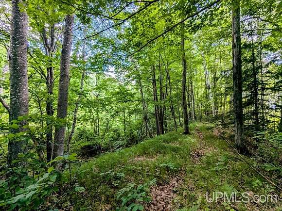 5 Acres of Recreational Land for Sale in Alpha, Michigan