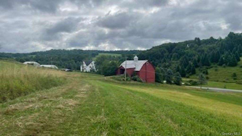 46 Acres of Recreational Land with Home for Sale in Delaware Town, New York