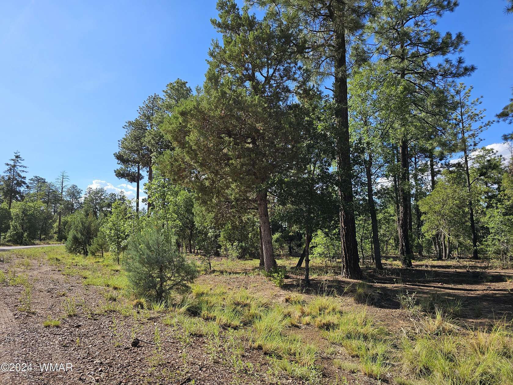 0.45 Acres of Residential Land for Sale in Lakeside, Arizona