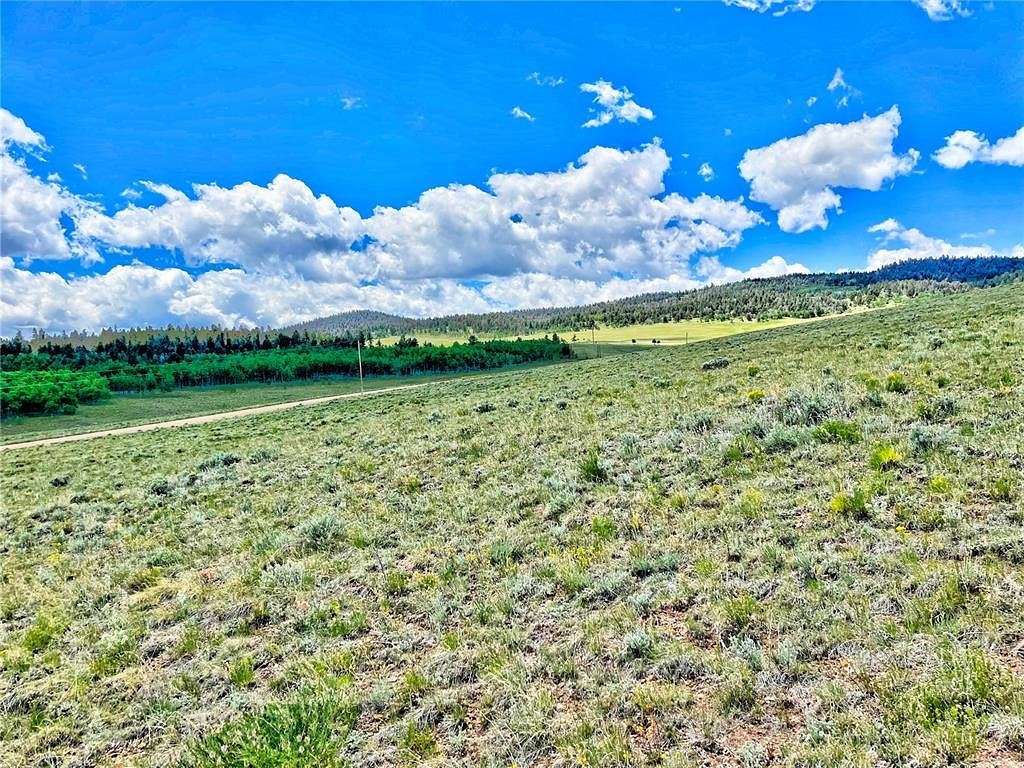 6.75 Acres of Land for Sale in Hartsel, Colorado
