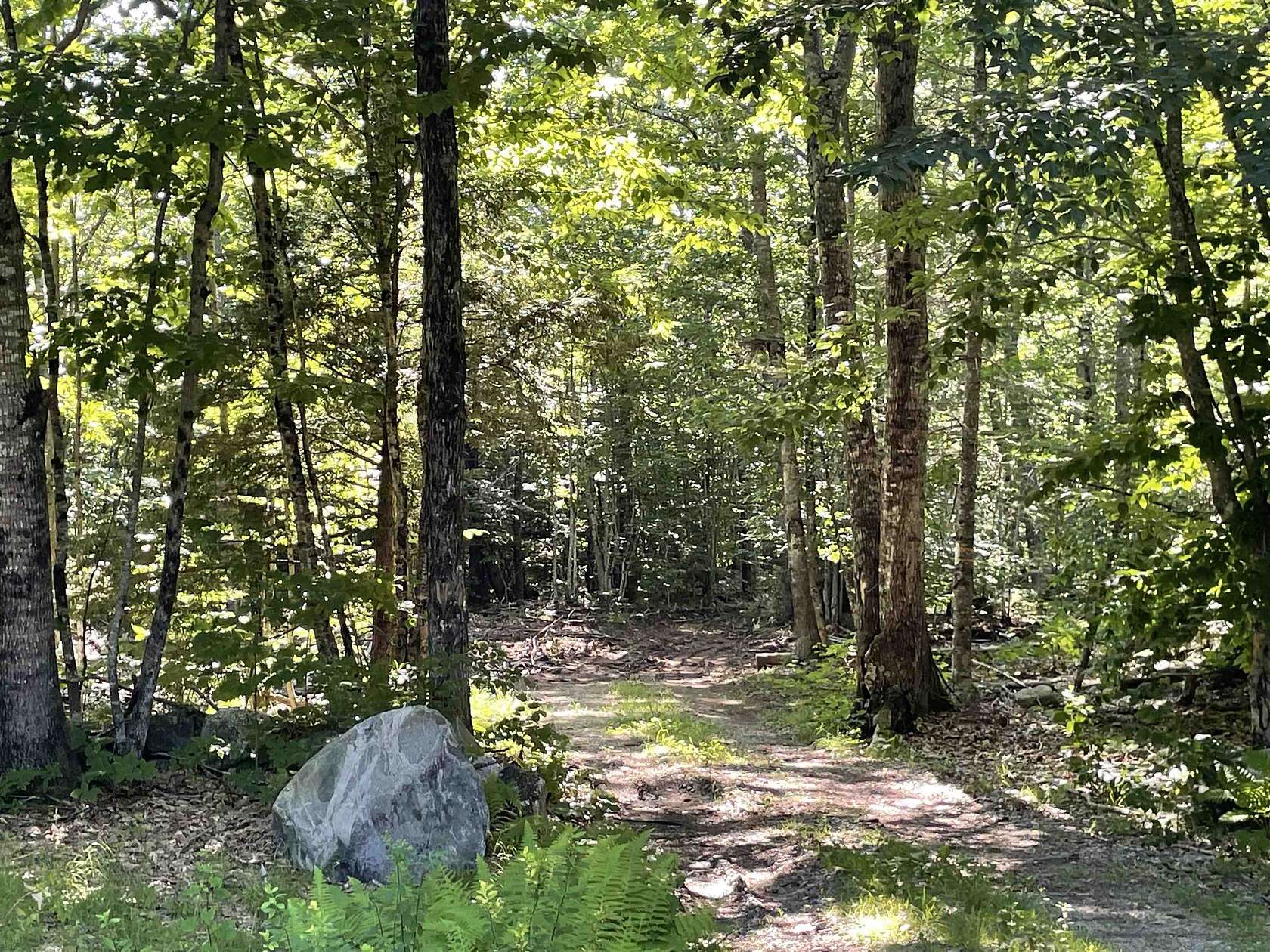 49.64 Acres of Recreational Land for Sale in Sandwich, New Hampshire