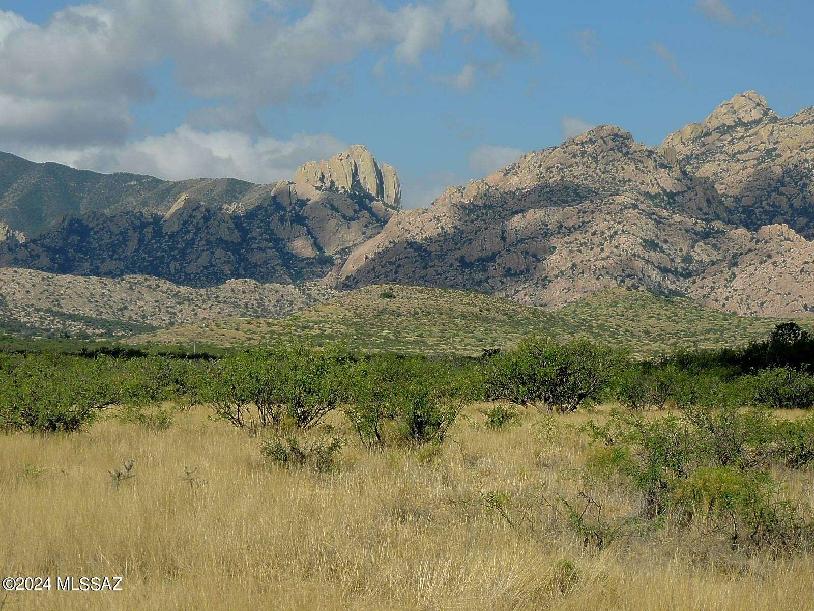 40 Acres of Recreational Land & Farm for Sale in Cochise, Arizona