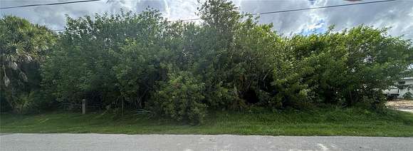 0.23 Acres of Residential Land for Sale in Port Charlotte, Florida