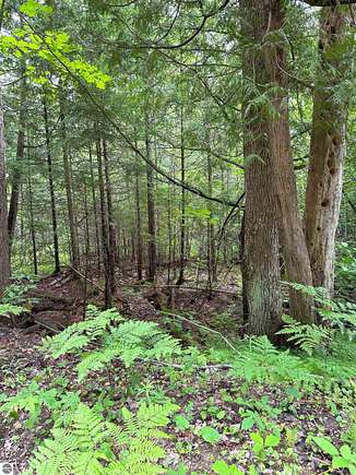 0.34 Acres of Residential Land for Sale in Kalkaska, Michigan