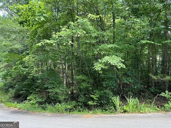 0.35 Acres of Residential Land for Sale in Villa Rica, Georgia