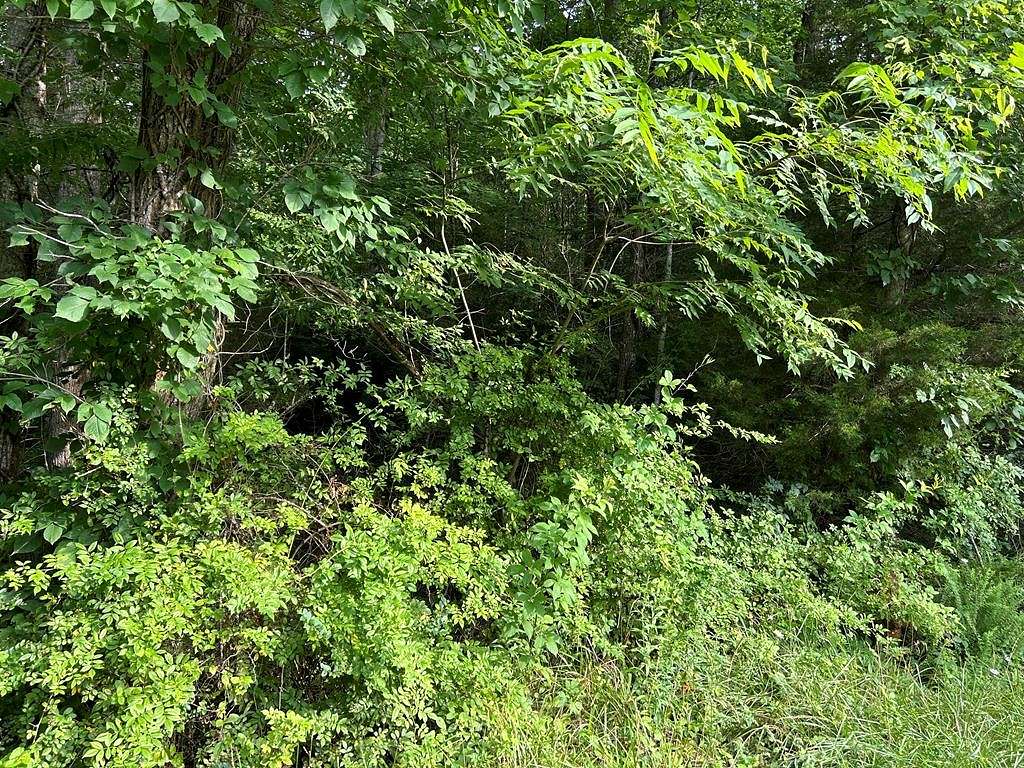 2.9 Acres of Residential Land for Sale in Jamestown, Tennessee