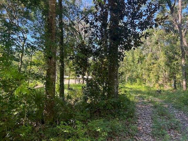 2.77 Acres of Residential Land for Sale in Old Town, Florida