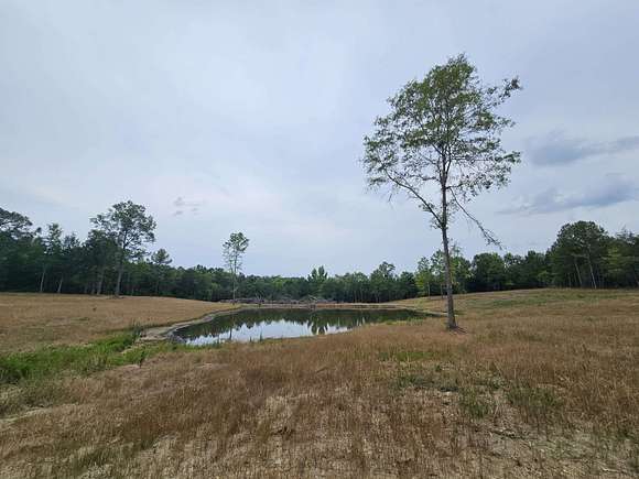 10 Acres of Recreational Land for Sale in Gaffney, South Carolina