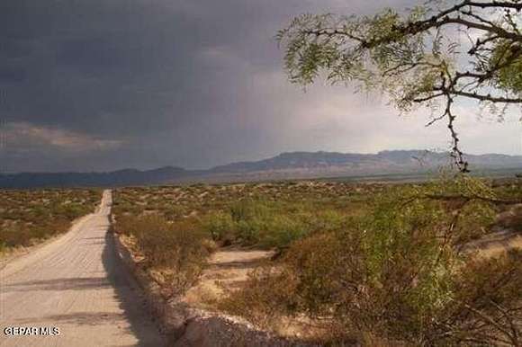 45.76 Acres of Agricultural Land for Sale in Fort Hancock, Texas