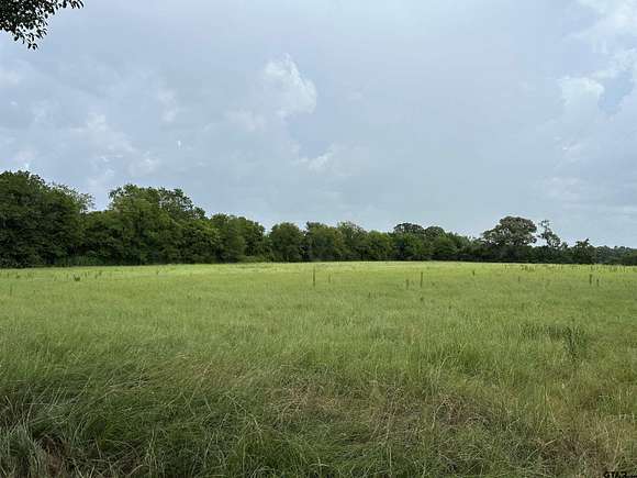 85.066 Acres of Land for Sale in Frankston, Texas