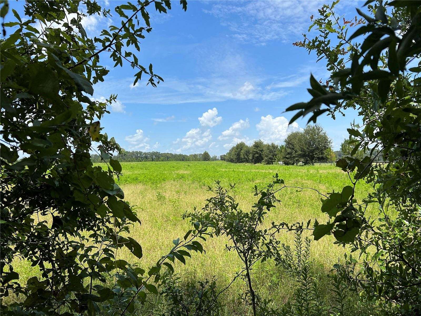 6.9 Acres of Residential Land for Sale in Alachua, Florida