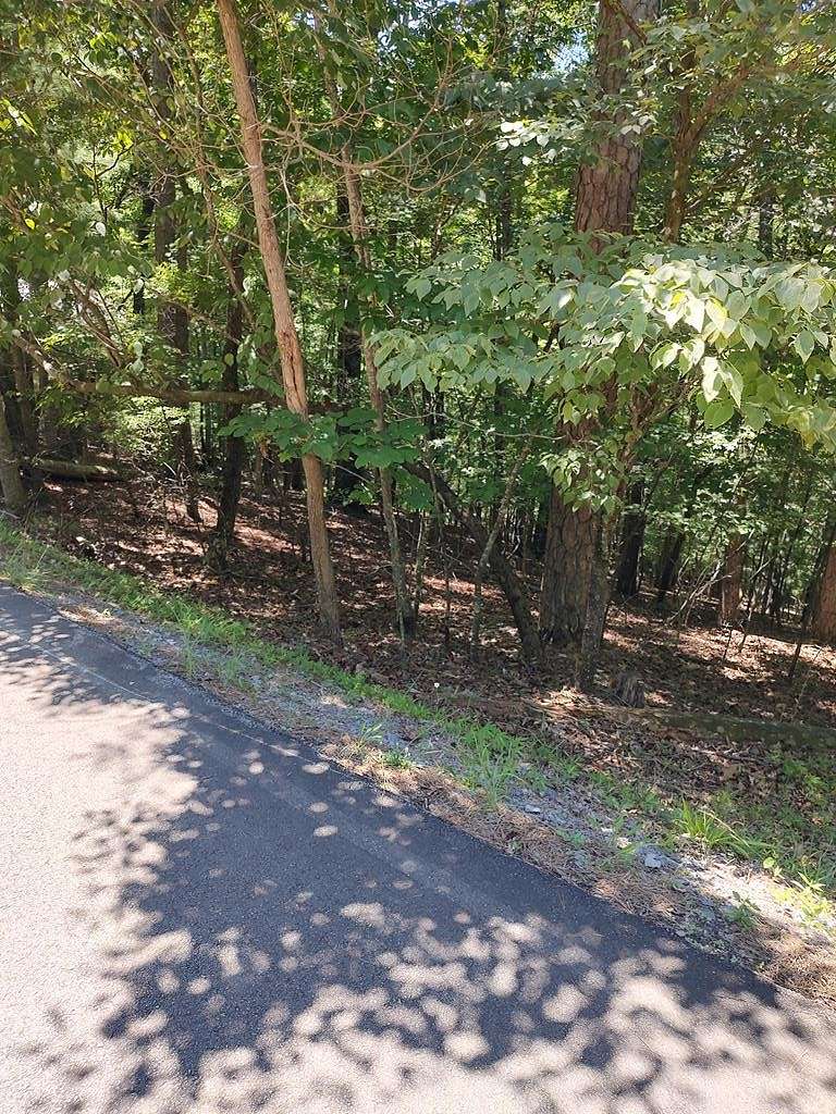 1 Acres of Land for Sale in Ellijay, Georgia