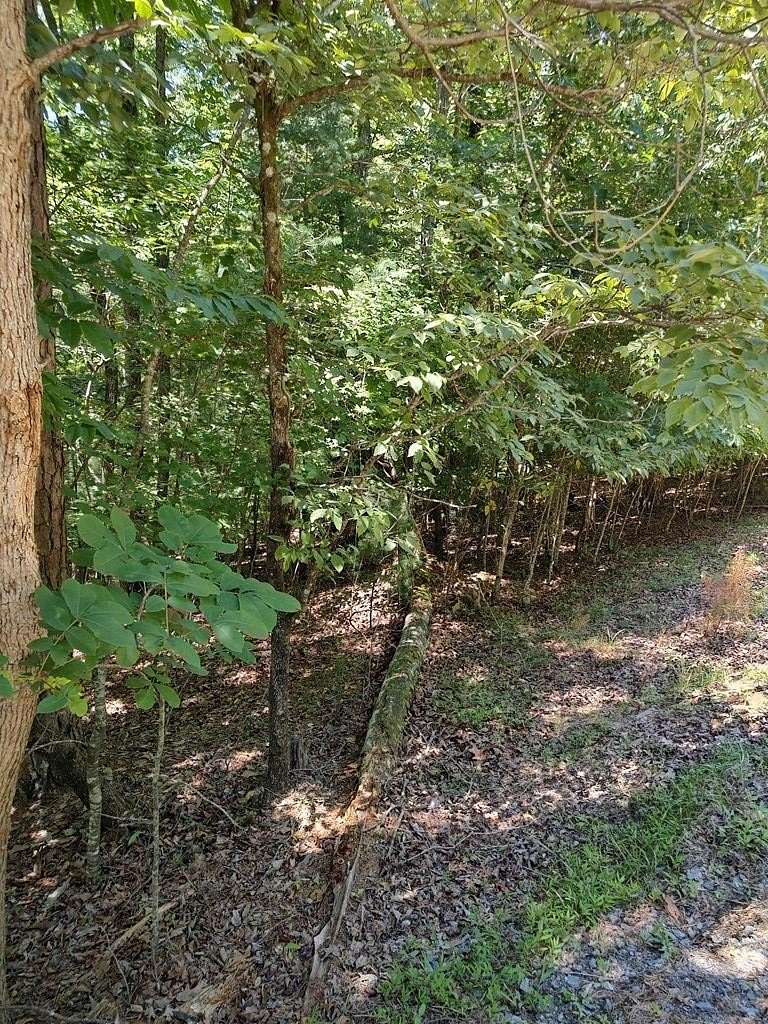 1 Acre of Land for Sale in Ellijay, Georgia