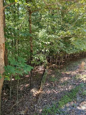 1 Acre of Land for Sale in Ellijay, Georgia