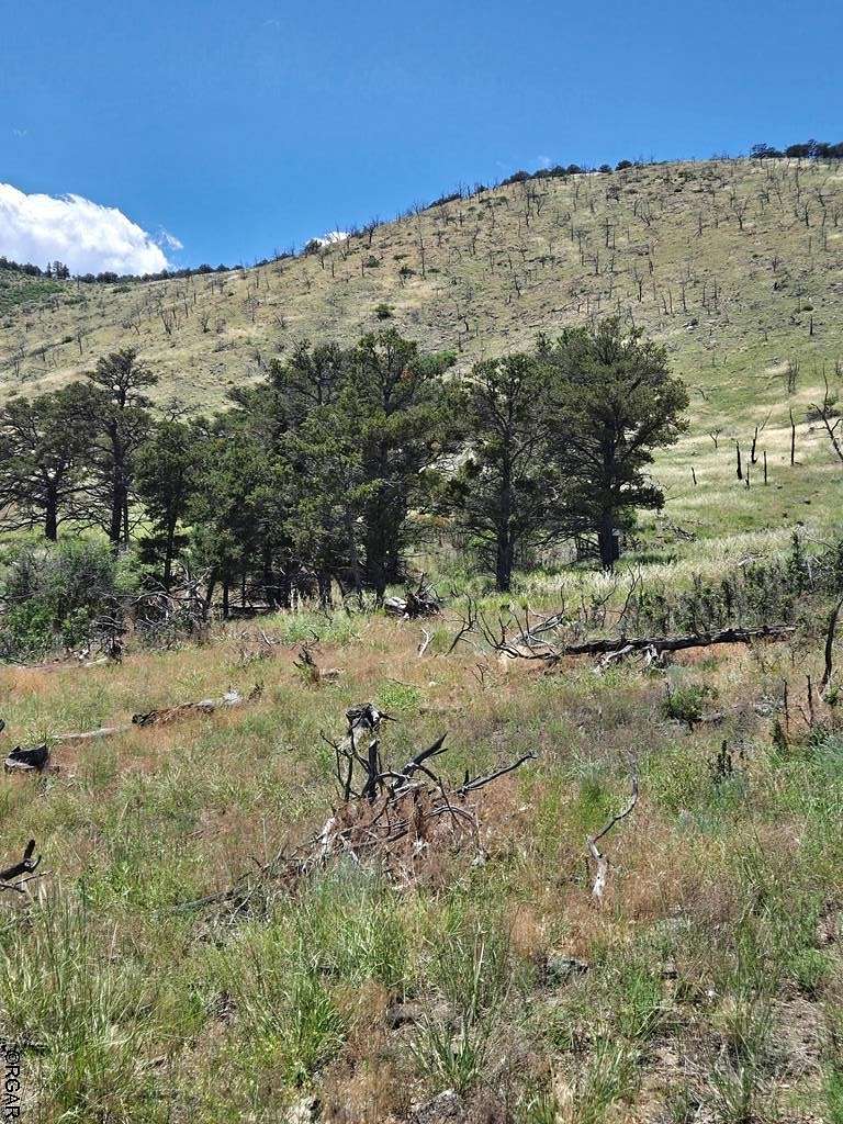 2.45 Acres of Residential Land for Sale in Cotopaxi, Colorado