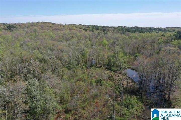 40 Acres of Recreational Land for Sale in Newell, Alabama