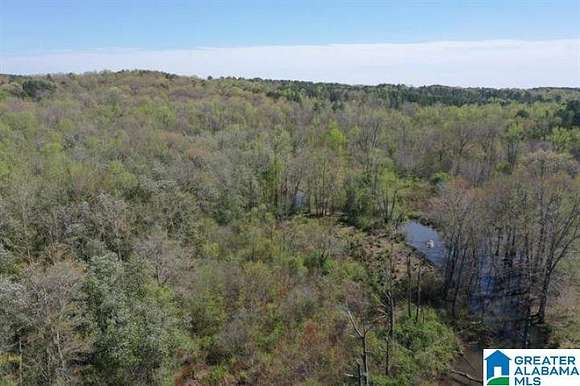 40 Acres of Recreational Land for Sale in Newell, Alabama