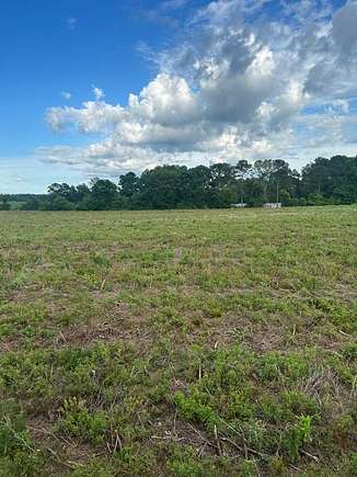 3 Acres of Residential Land for Sale in Brundidge, Alabama