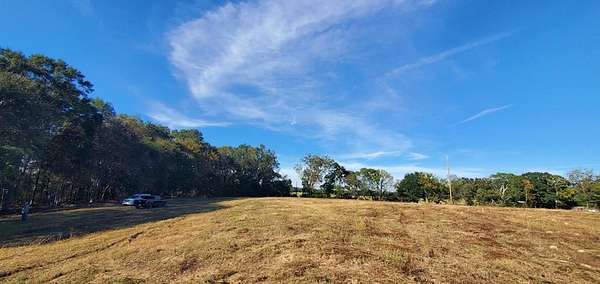 10 Acres of Land for Sale in Brundidge, Alabama