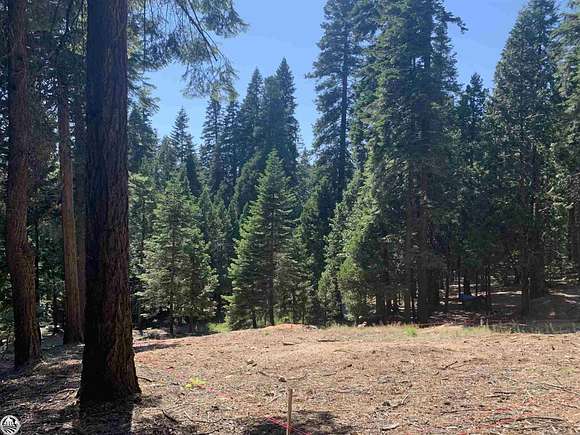 0.58 Acres of Residential Land for Sale in Camp Connell, California