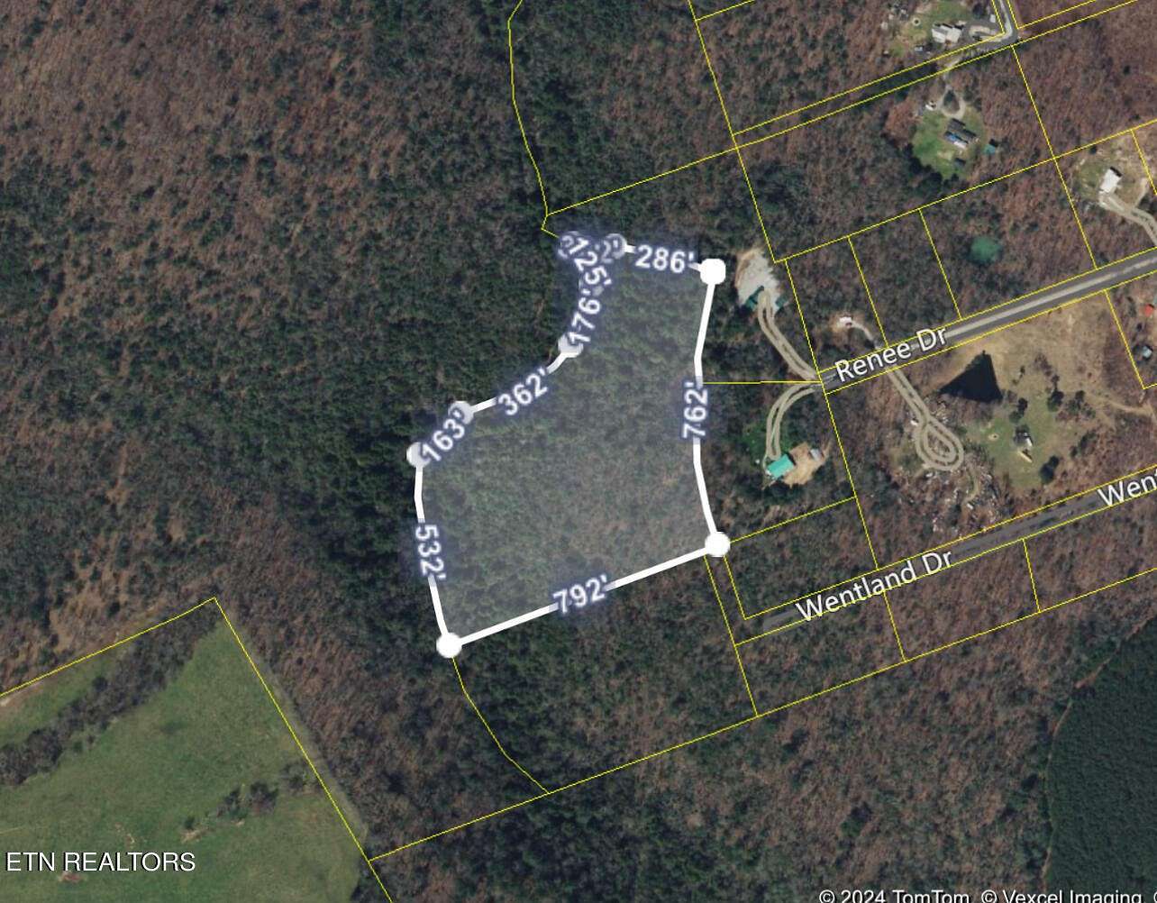 11 Acres of Land for Sale in Deer Lodge, Tennessee