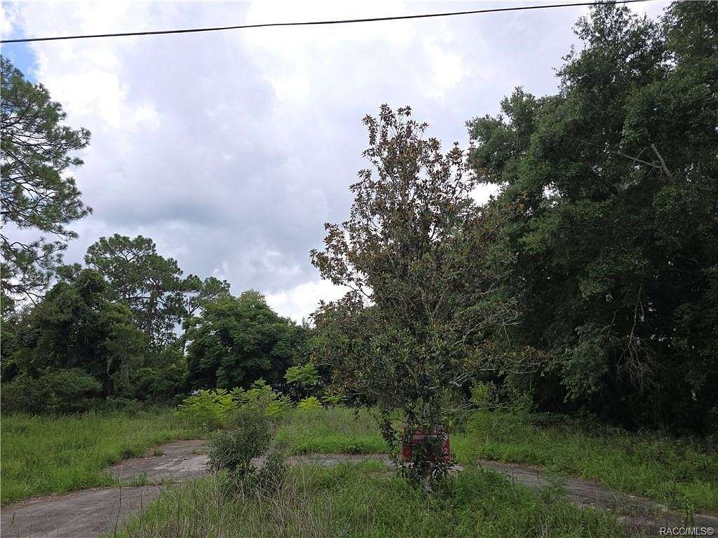 0.25 Acres of Residential Land for Sale in Crystal River, Florida