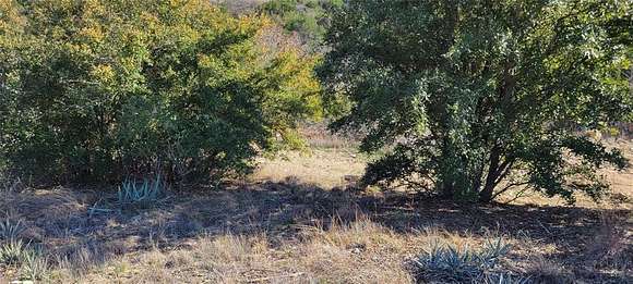 1.014 Acres of Land for Sale in Bluff Dale, Texas