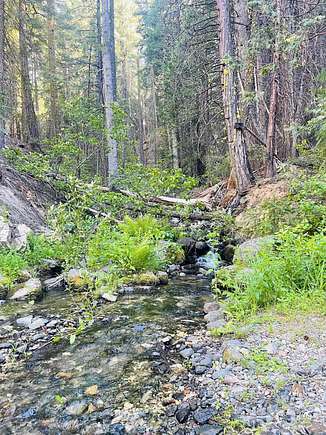 20.38 Acres of Recreational Land for Sale in Clio, California