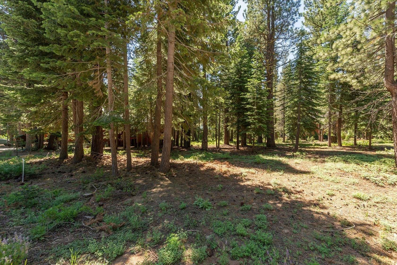 Residential Land for Sale in Truckee, California